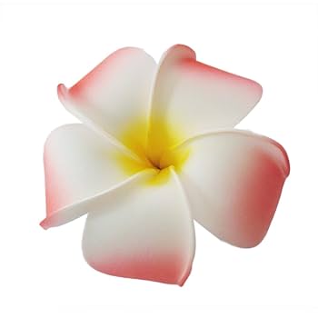 Amazon.co.jp: WINOMO ヘアクリップ 造花 プルメリア ハワイアン